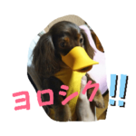 ダックスフント・ラムちゃんのスタンプ