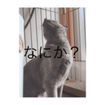 ラムちゃんですよ