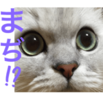 ♡ラムちゃん♡