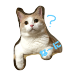 仲良しなシナラムちゃん達