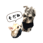 むぎまめ-その2-