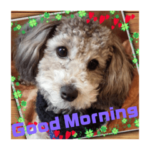 ラムちゃんの日常会話