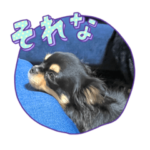 はじめまして！チワワのエトちゃんスタンプ