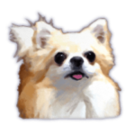 チワワの小丸 ③