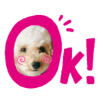 〜トイプードルのさくらさんのスタンプ〜