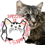 会話はずむスタンプ40個～さくら耳を常識に