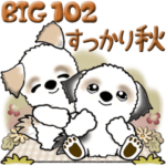 シーズー犬 102『秋も深まり…』