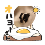 おかえりぼんた