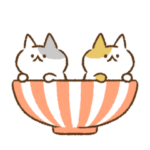 すばやく動くネコたち③