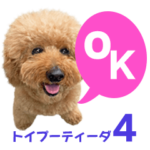 トイプーティーダ４（デカ文字 写真 英語）