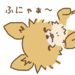 きょうもチワワ
