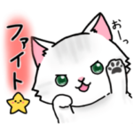 ミヌエットのラム