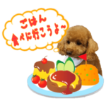 トイプードルのラムちゃんのスタンプ