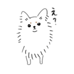 チワワのりきまる