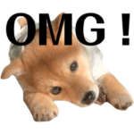 豆柴ラムちゃん　English ver.♡