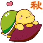 愛されカメさん７（秋の紅葉おさんぽ）