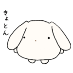 だいふくうさぎのましろ