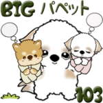 シーズー犬 103『パペットと一緒』