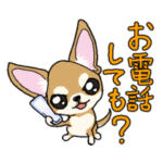 毎日使える！大人お茶目なチワワの日常会話