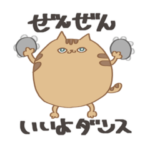 まんまるねこの日常