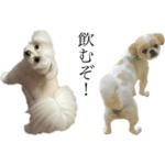 しろいものたちU・x・U