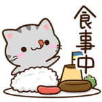 ずっと使える☆小さいアメショ