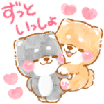 愛し愛される❤️いやしばいぬ❤️3