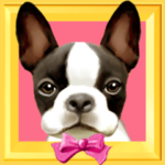 動く！ペットたち