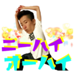 第一次國際流星群