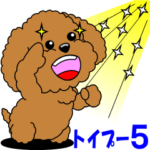 ポジネガトイプー