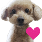 のんびりのの子の、ほのぼのスタンプ