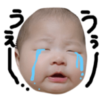 みみみみみどり1