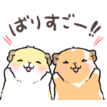 くー＆ルル　ゆるい博多弁