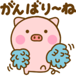 九州博多弁のぶたひな（福岡、熊本、長崎