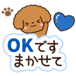 長文☆トイプードル