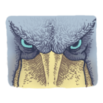 ハシビロコウのきもち