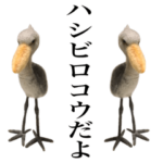 ハシビロコウ ニードルその2