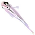 背景で動くメダカ