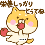 優しいゆる柴犬カスタム