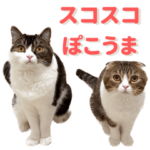 スコスコぽこ太郎＆うま次郎スタンプ