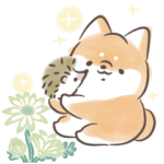 ほんわかしばいぬとごきげんハリネズミ