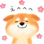 動く♪仲良しわんこ大集合♡