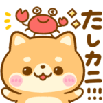 豆柴♡だじゃれ