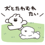 犬とうさちゃん