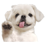 ムーチョの世界 〝極〟