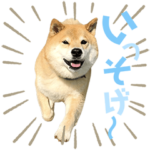 柴犬まる☆彩りスタンプ