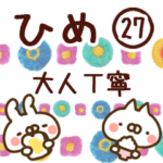 専用27＜大人丁寧＞