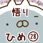 専用28＜悟り＞