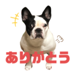 松本家のエース