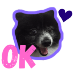 エース&ピピちゃん